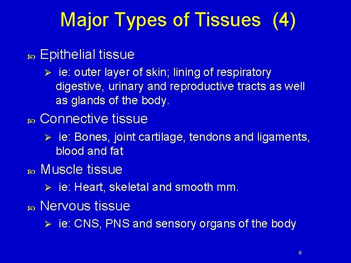 Major Types of Tissues (4) Epithelial tissue Ø Connective tissue Ø ie: Bones, joint