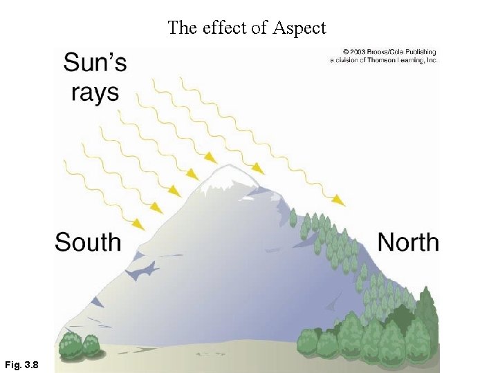 The effect of Aspect Fig. 3. 8 