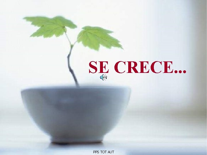 SE CRECE. . . PPS TOT AUT 