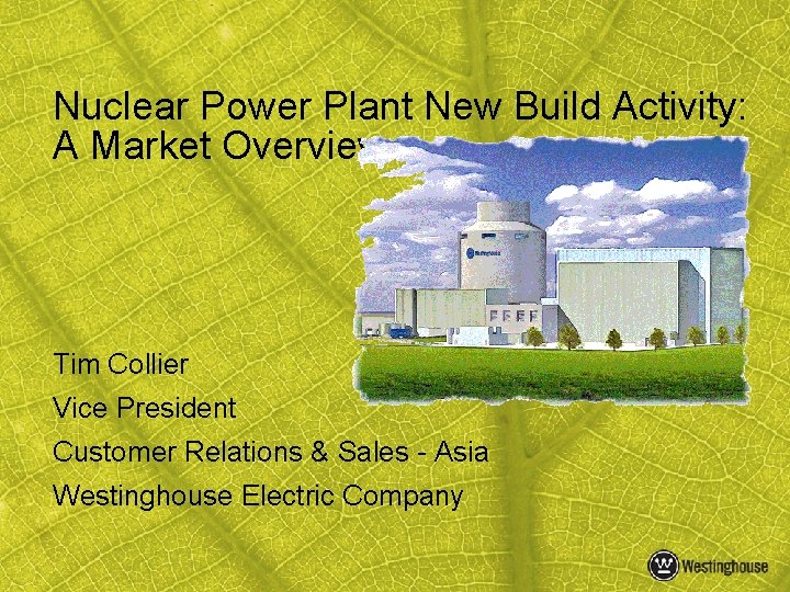 Nuclear Power Plant New Build Activity: A Market Overview Tim Collier Vice President Customer