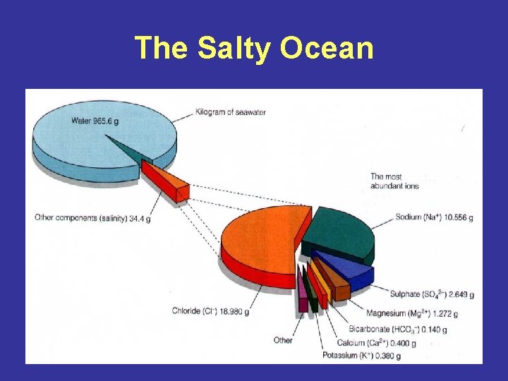 The Salty Ocean 