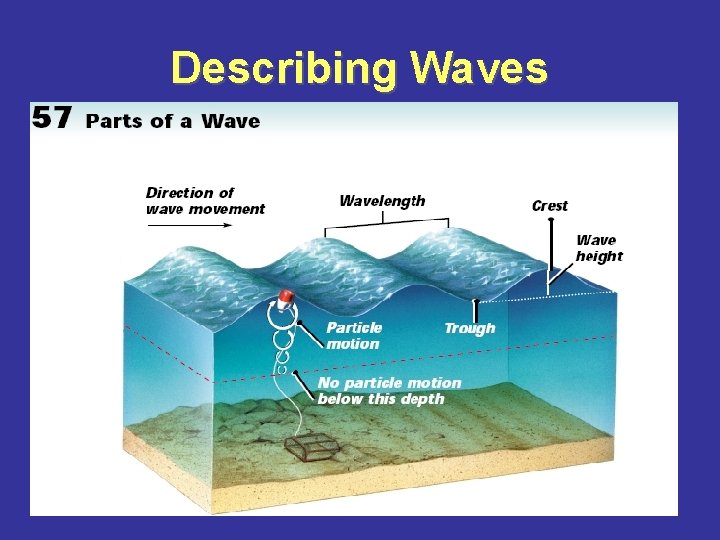 Describing Waves 
