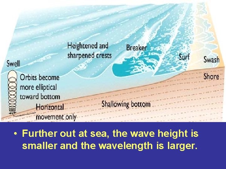  • Further out at sea, the wave height is smaller and the wavelength