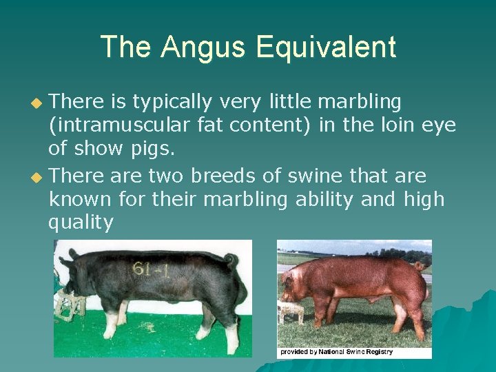 The Angus Equivalent There is typically very little marbling (intramuscular fat content) in the
