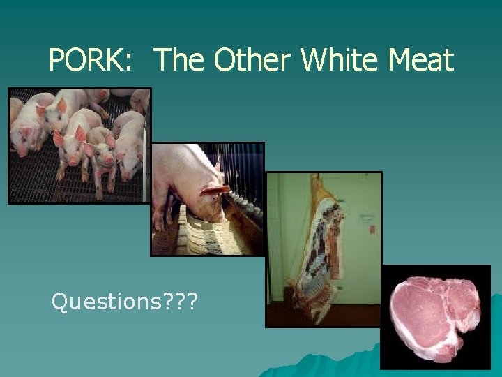 PORK: The Other White Meat Questions? ? ? 