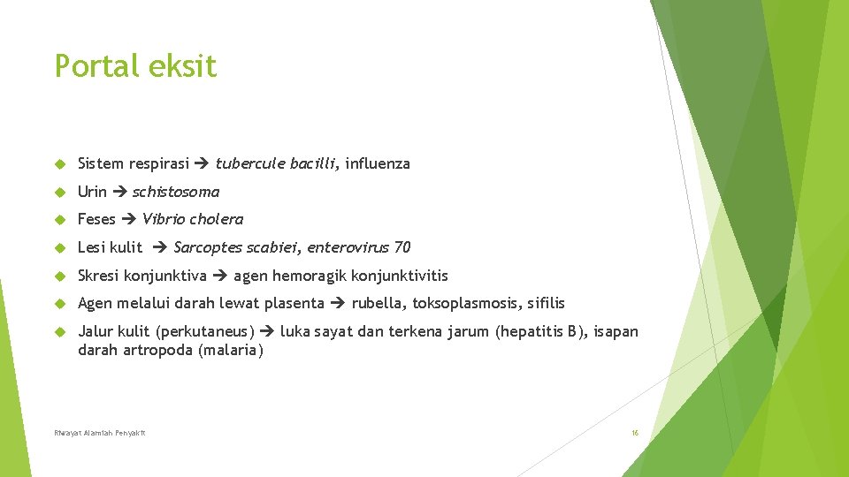 Portal eksit Sistem respirasi tubercule bacilli, influenza Urin schistosoma Feses Vibrio cholera Lesi kulit