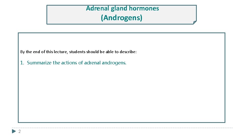 Adrenal gland hormones (Androgens) By the end of this lecture, students should be able