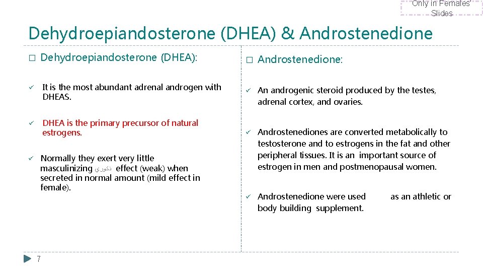 Only in Females’ Slides Dehydroepiandosterone (DHEA) & Androstenedione � Dehydroepiandosterone (DHEA): ü It is