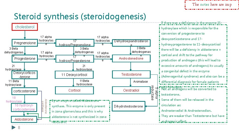 The notes here are imp Steroid synthesis (steroidogenesis) If there was a deficiency in