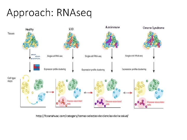 Approach: RNAseq http: //fcsanahuac. com/category/temas-selectos-de-ciencias-de-la-salud/ 
