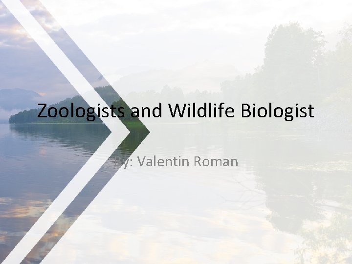 Zoologists and Wildlife Biologist By: Valentin Roman 