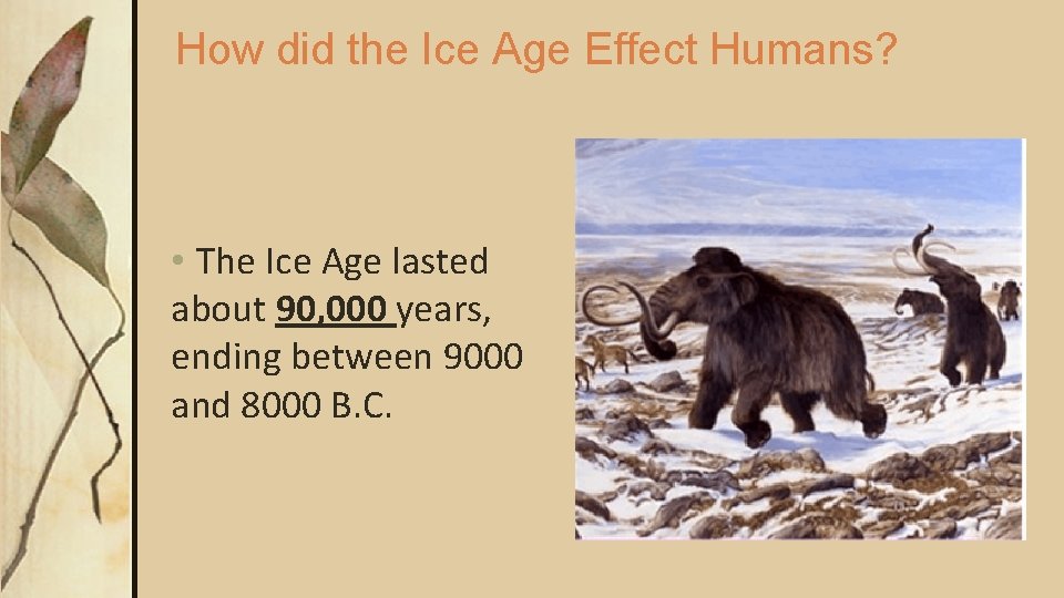 How did the Ice Age Effect Humans? • The Ice Age lasted about 90, How did the Ice Age Effect Humans? • The Ice Age lasted about 90,