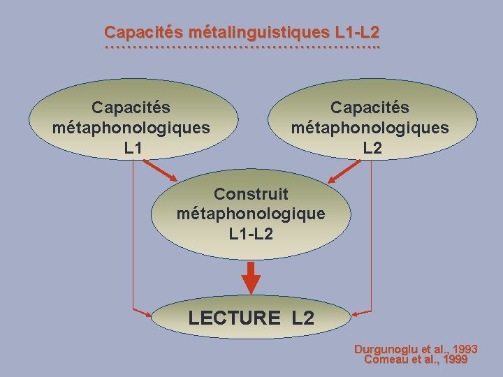 Capacités métalinguistiques L 1 -L 2 ……………………. . Capacités métaphonologiques L 1 Capacités métaphonologiques
