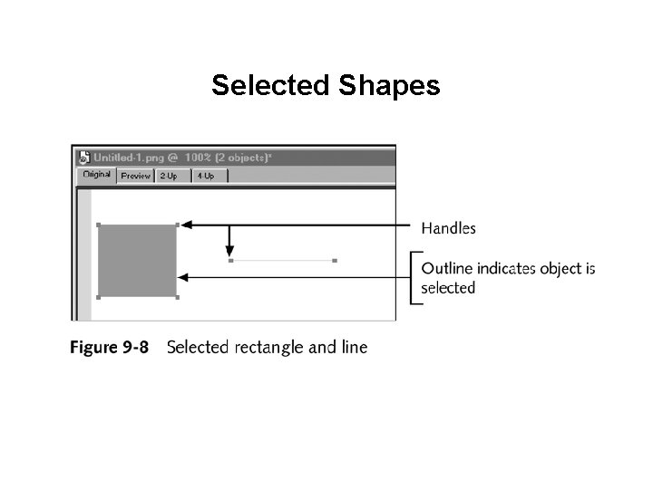 Shape Selection The Web Warrior Guide to Web Design Technologies
