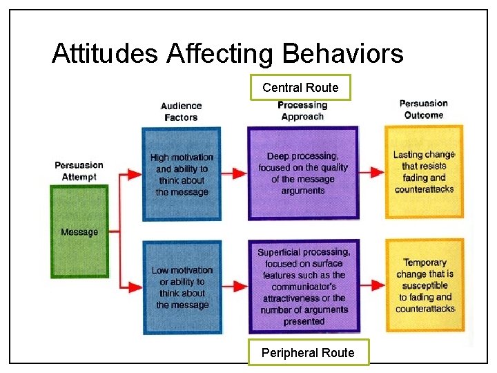 Attitudes Affecting Behaviors Central Route Peripheral Route 