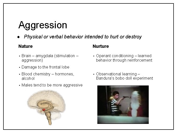 Aggression ● Physical or verbal behavior intended to hurt or destroy Nature • Brain