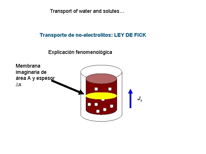 Transport of water and solutes… Transporte de no-electrolitos: LEY DE FICK Explicación fenomenológica Membrana