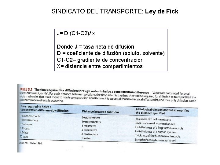 SINDICATO DEL TRANSPORTE: Ley de Fick J= D (C 1 -C 2)/ x Donde