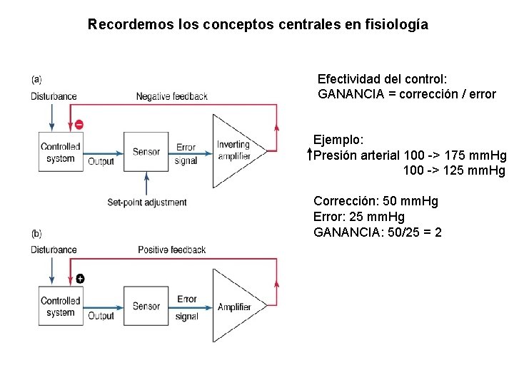 Recordemos los conceptos centrales en fisiología Efectividad del control: GANANCIA = corrección / error