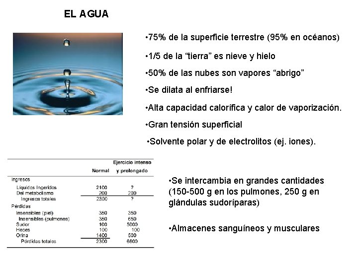 EL AGUA • 75% de la superficie terrestre (95% en océanos) • 1/5 de