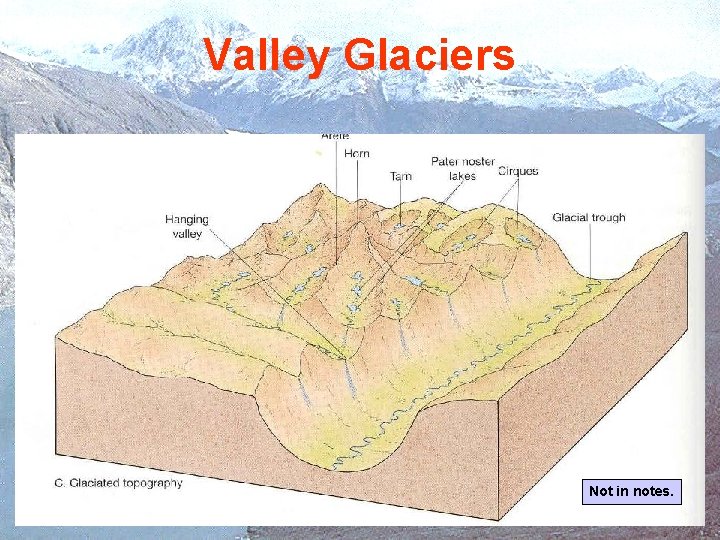 Valley Glaciers Not in notes. Valley Glaciers Not in notes.