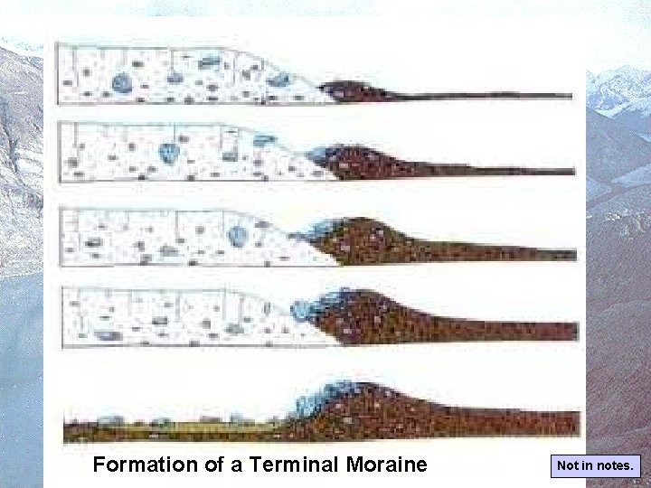 Formation of a Terminal Moraine Not in notes. Formation of a Terminal Moraine Not in notes.