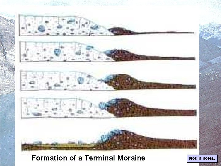 Formation of a Terminal Moraine Not in notes. 