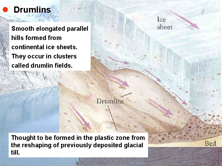l Drumlins Smooth elongated parallel hills formed from continental ice sheets. They occur in