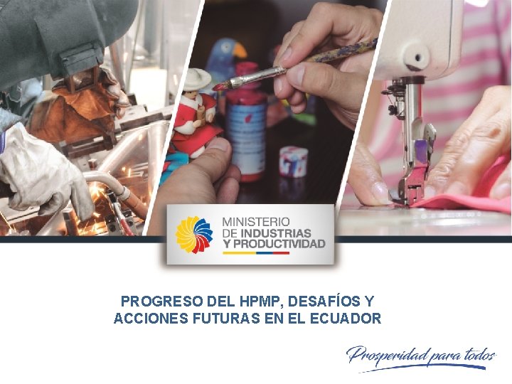 PROGRESO DEL HPMP, DESAFÍOS Y ACCIONES FUTURAS EN EL ECUADOR 