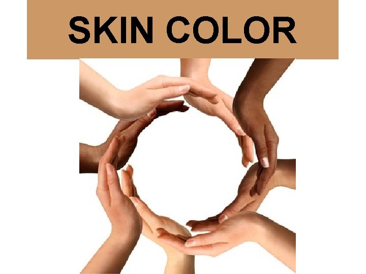 SKIN COLOR 