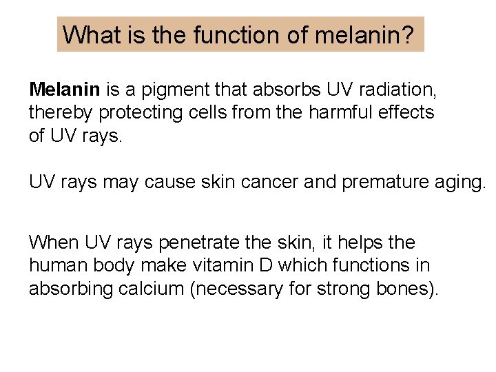 What is the function of melanin? Melanin is a pigment that absorbs UV radiation,