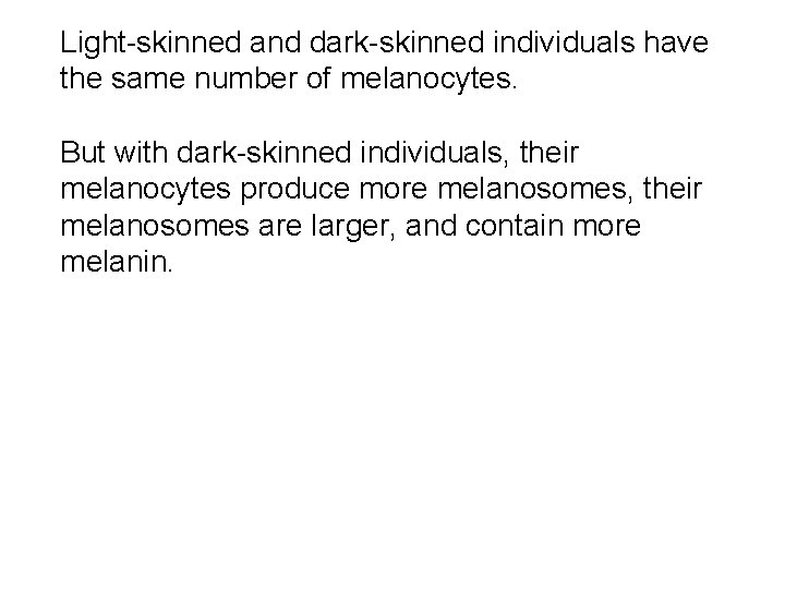 Light-skinned and dark-skinned individuals have the same number of melanocytes. But with dark-skinned individuals,