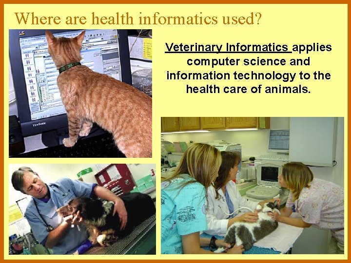 Where are health informatics used? Veterinary Informatics applies computer science and information technology to