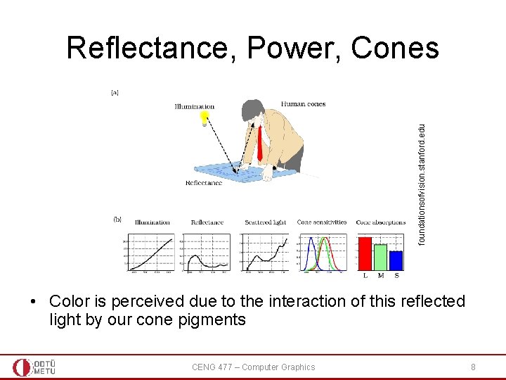 foundationsofvision. stanford. edu Reflectance, Power, Cones • Color is perceived due to the interaction