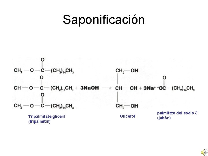 Saponificación Tripalmitate gliceril (tripalmitin) Glicerol palmitato del sodio 3 (jabón) 