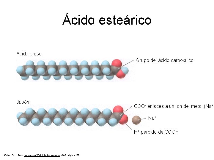 Ácido esteárico Ácido graso Grupo del ácido carboxílico Jabón COO- enlaces a un ion
