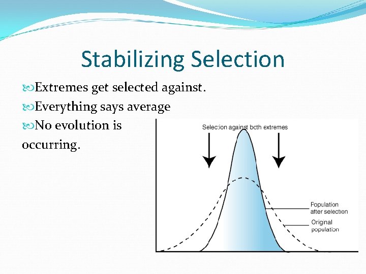 Stabilizing Selection Extremes get selected against. Everything says average No evolution is occurring. Stabilizing Selection Extremes get selected against. Everything says average No evolution is occurring.