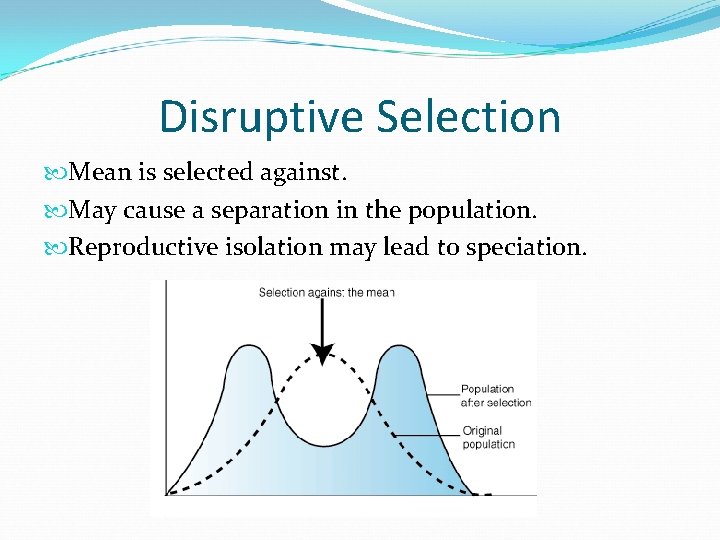 Disruptive Selection Mean is selected against. May cause a separation in the population. Reproductive Disruptive Selection Mean is selected against. May cause a separation in the population. Reproductive