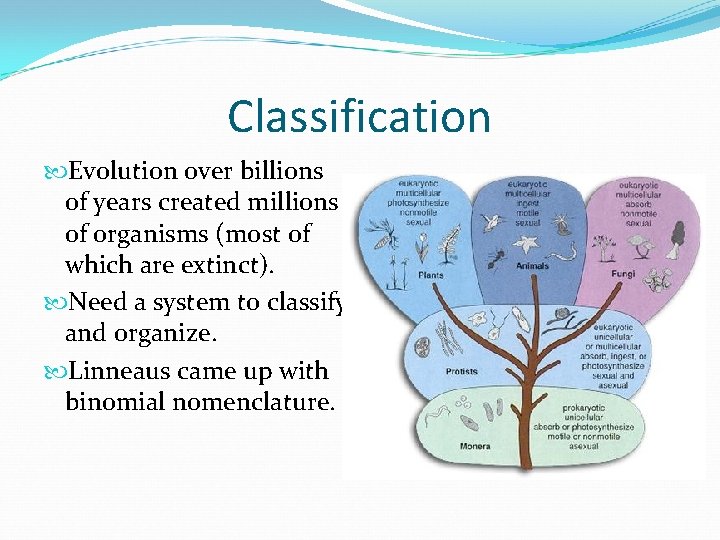 Classification Evolution over billions of years created millions of organisms (most of which are Classification Evolution over billions of years created millions of organisms (most of which are