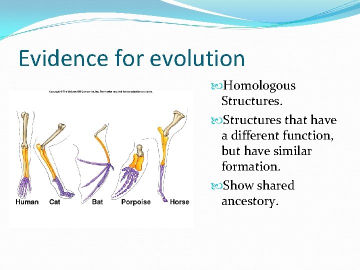 Evidence for evolution Homologous Structures that have a different function, but have similar formation. Evidence for evolution Homologous Structures that have a different function, but have similar formation.