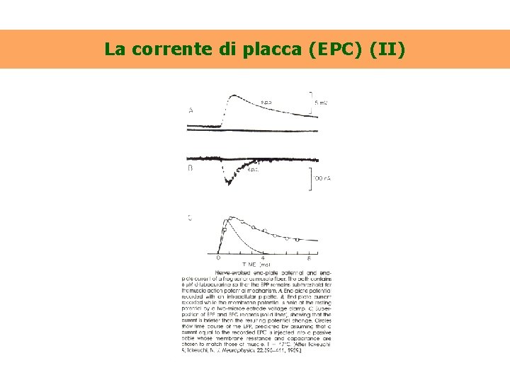 La corrente di placca (EPC) (II) 