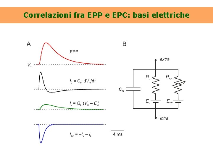 Correlazioni fra EPP e EPC: basi elettriche 