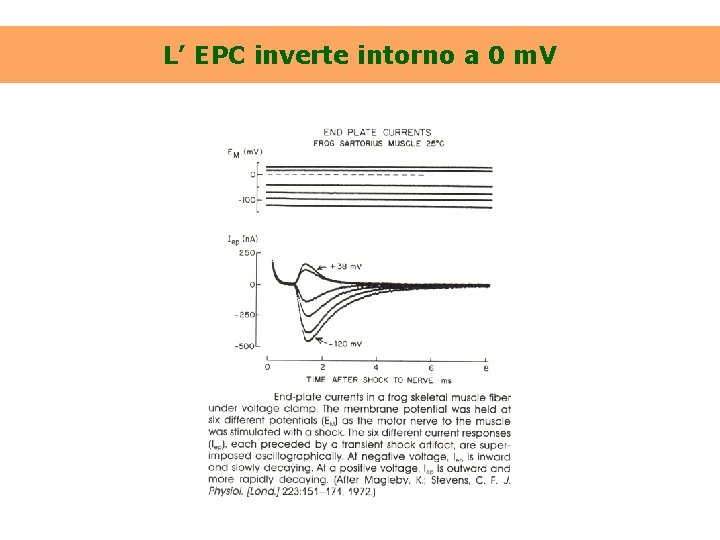 L’ EPC inverte intorno a 0 m. V 