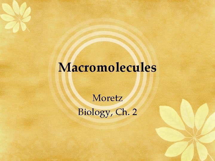 Macromolecules Moretz Biology, Ch. 2 