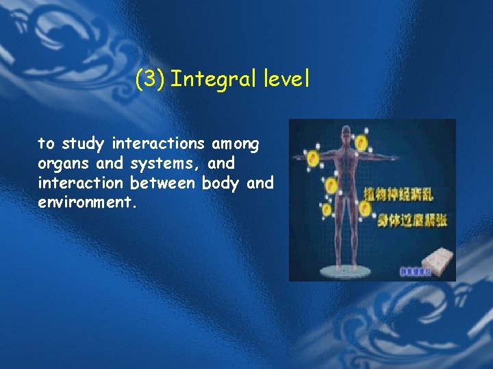 (3) Integral level to study interactions among organs and systems, and interaction between body