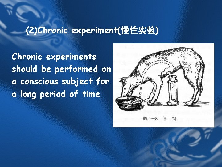 (2)Chronic experiment(慢性实验) Chronic experiments should be performed on a conscious subject for a long