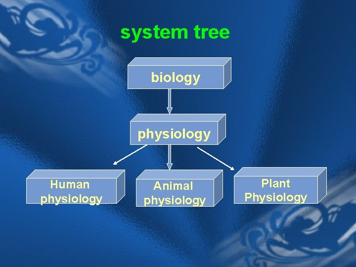system tree biology physiology Human physiology Animal physiology Plant Physiology 