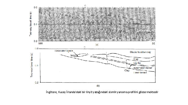 İngiltere, Kuzey İrlanda'daki bir linyit yatağındaki sismik yansıma profilini göstermektedir 
