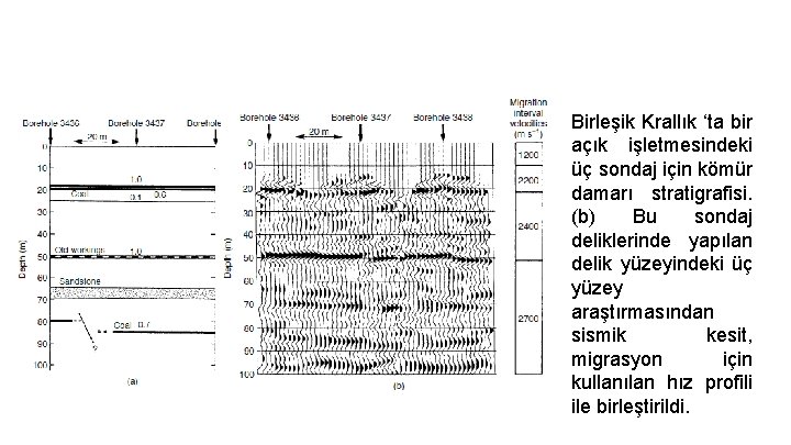 Birleşik Krallık ‘ta bir açık işletmesindeki üç sondaj için kömür damarı stratigrafisi. (b) Bu