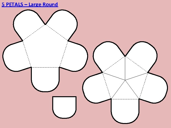 5 PETALS – Large Round 